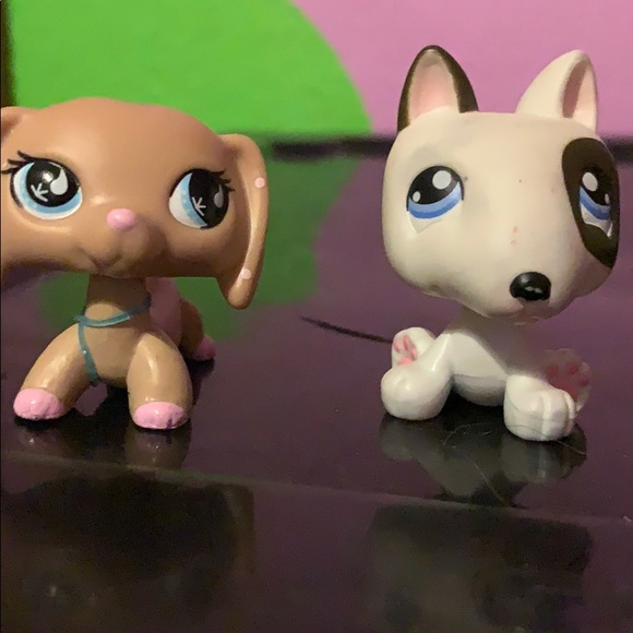 lps - Picture 3 of 7